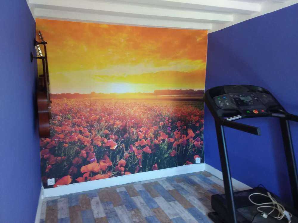 Valmuer og solnedgang