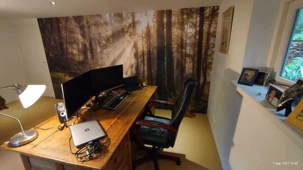 Høstskog med solskinn
