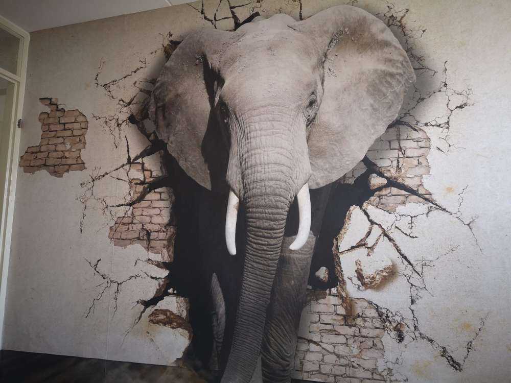 3D elefant fra veggen