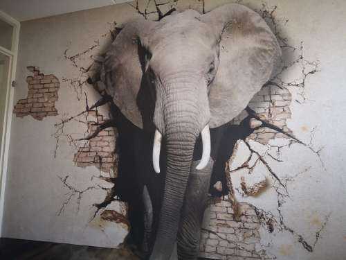 3D elefant fra veggen
