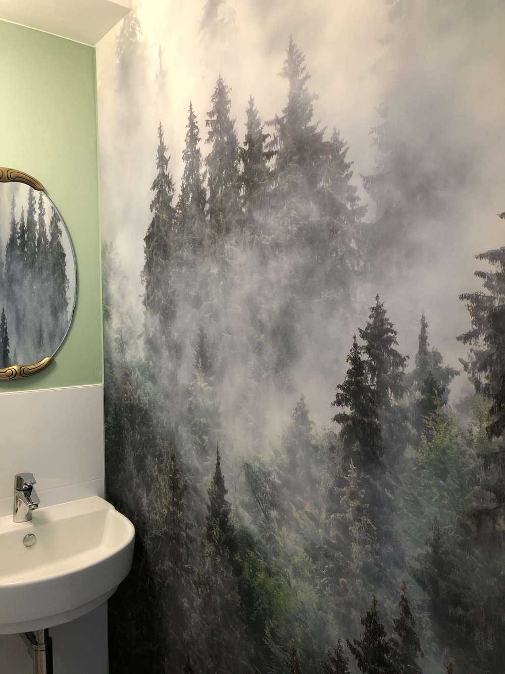 Dimmigt landskap med gröna träd