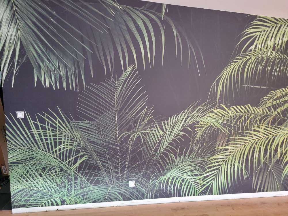 Växt med gröna blad