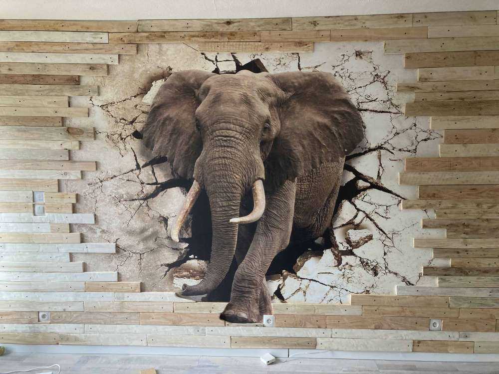 Stor elefant ur väggen