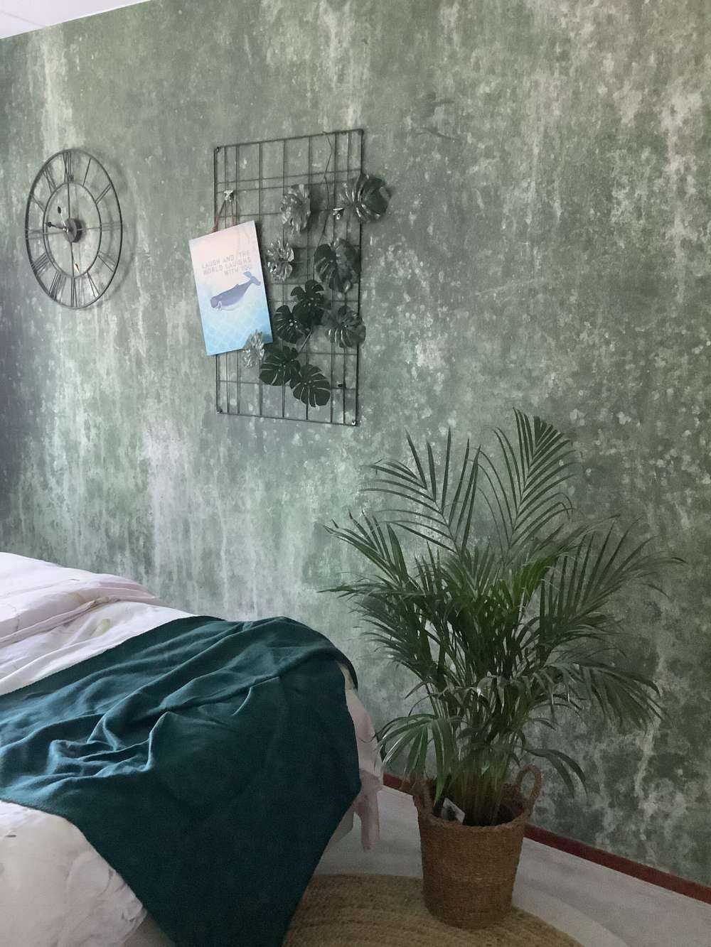 Gammal väderbiten grön vägg