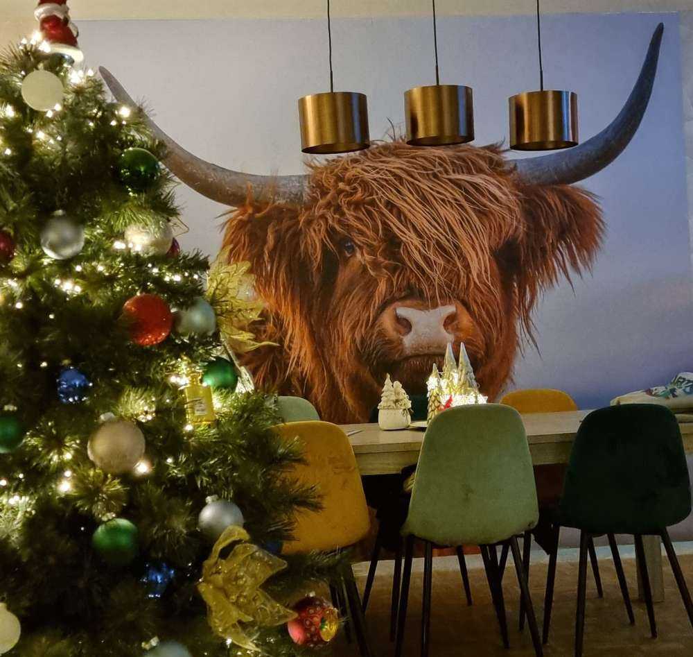 Stirrer det skotske høylandet