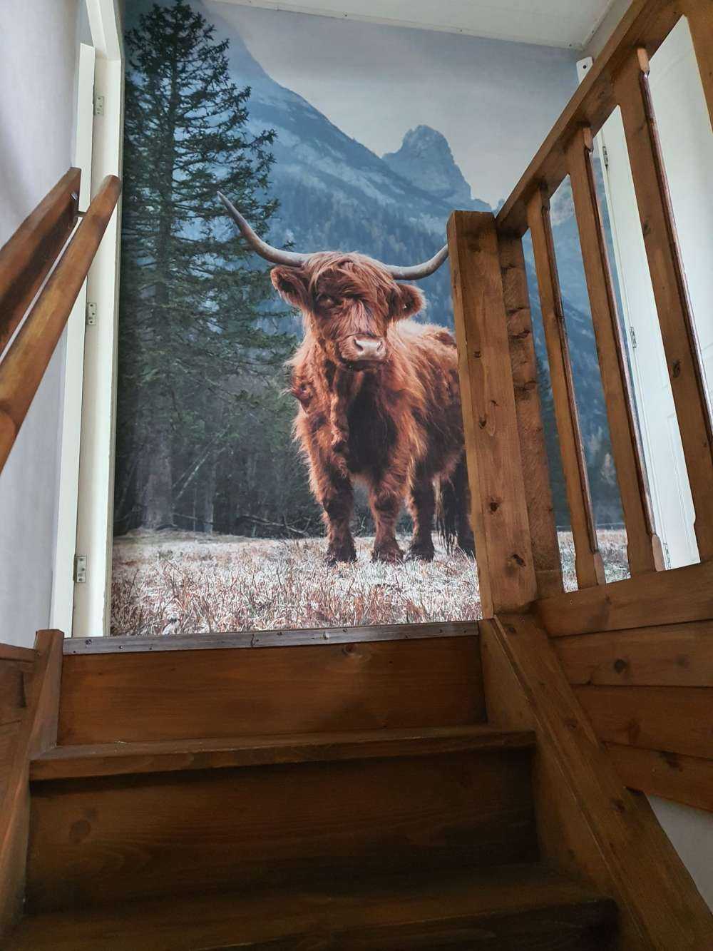 Det skotske høylandet blant trærne