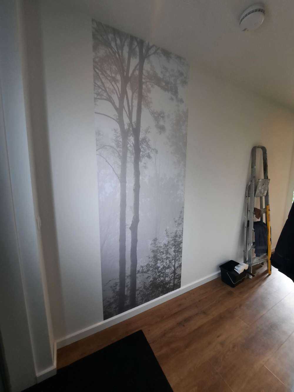 Tett tåke i skogen