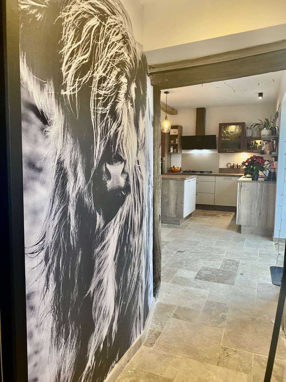 Det skotske høylandet i svart og hvitt