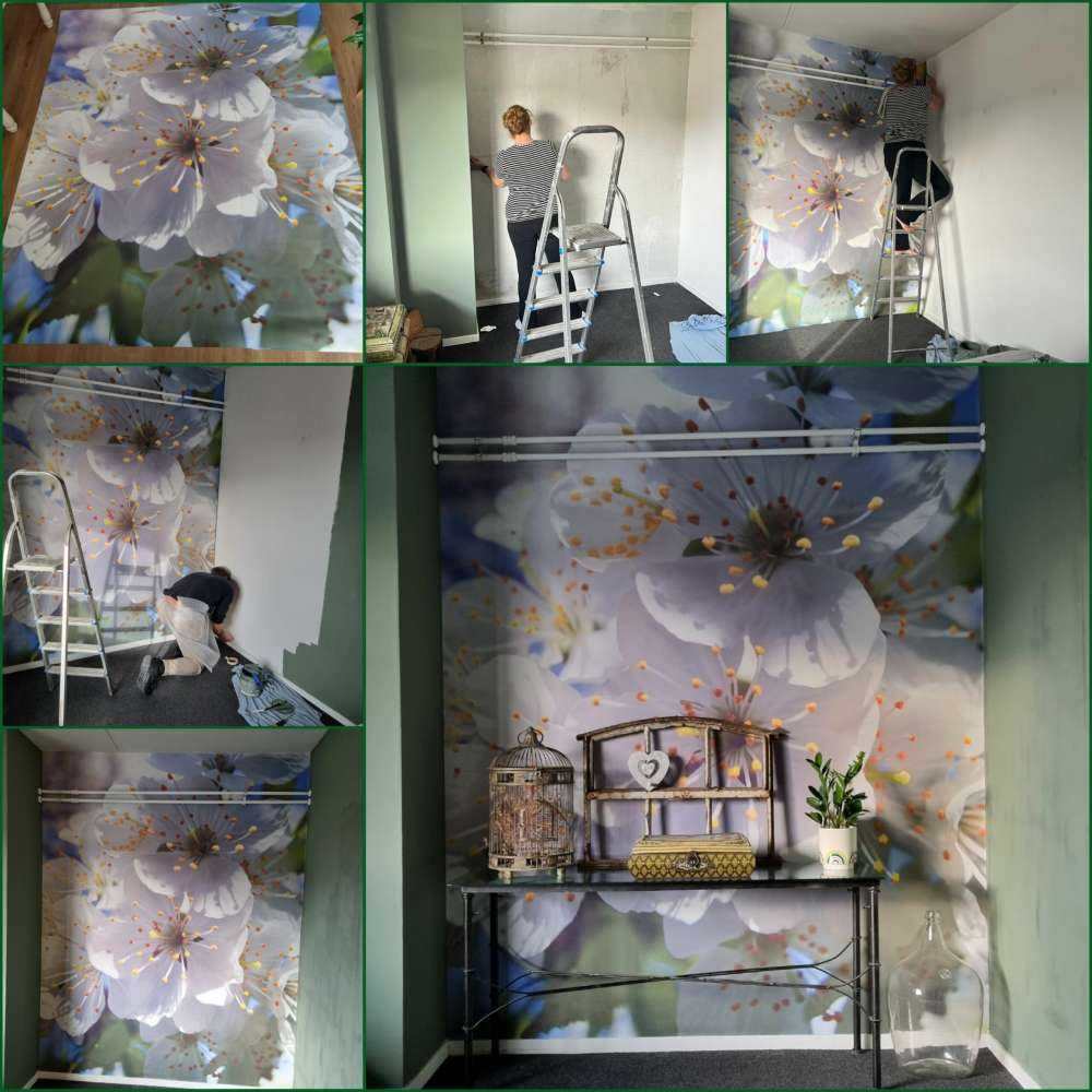 Nærbilde hvite blomster