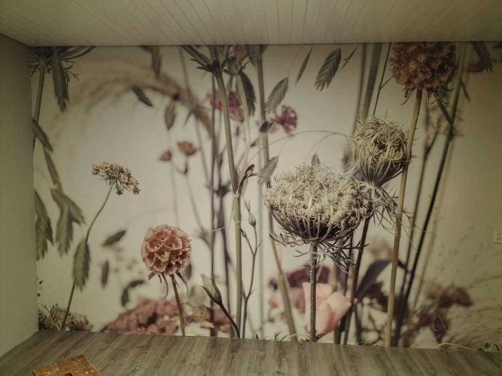 Nærbilde blomster