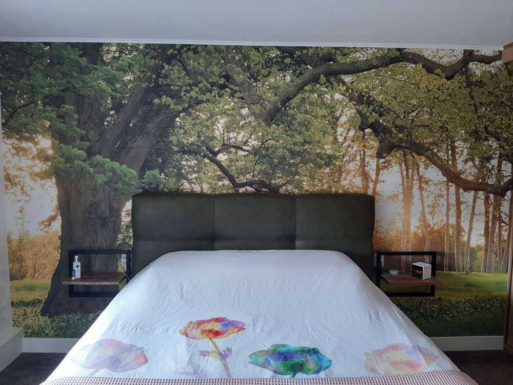 Åpen plass i skogen