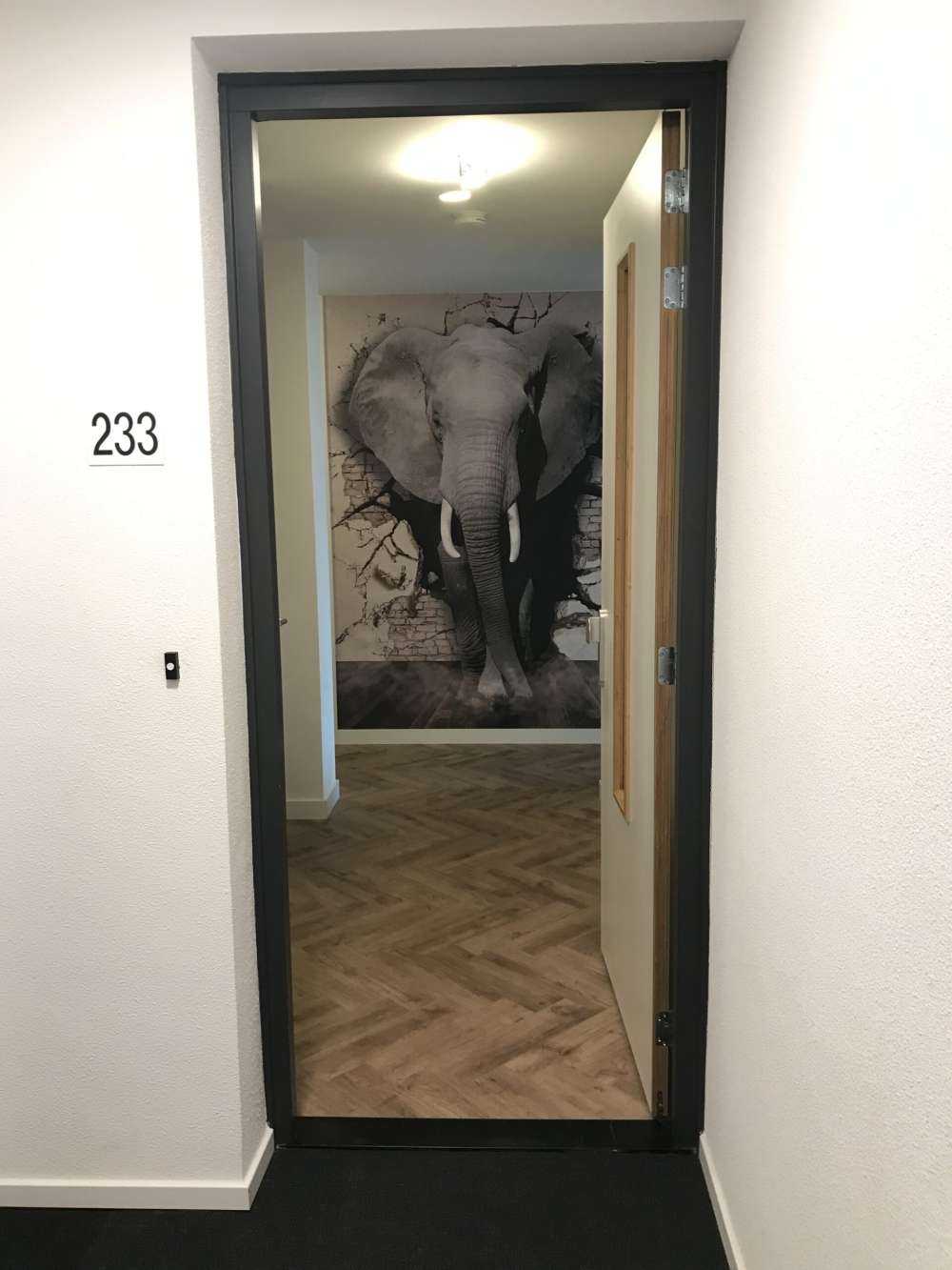 3D elefant fra veggen