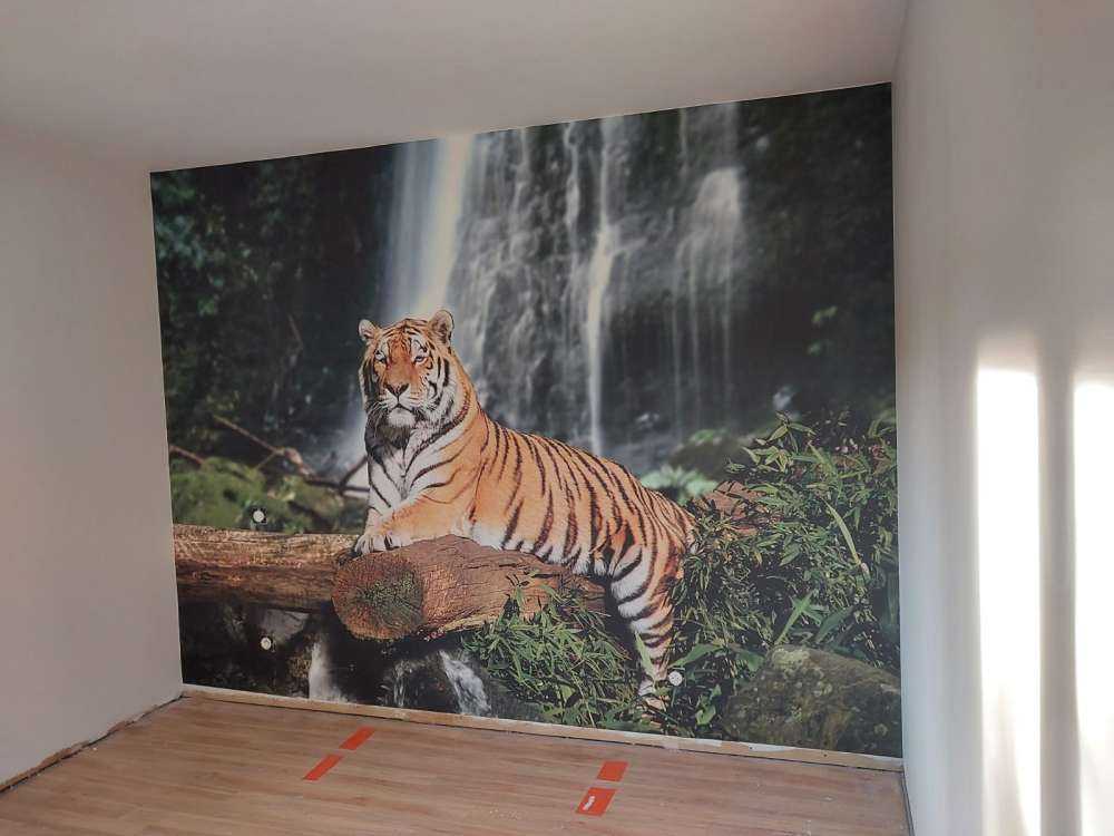 Tiger i junglen