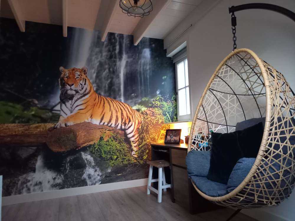 Tiger i junglen