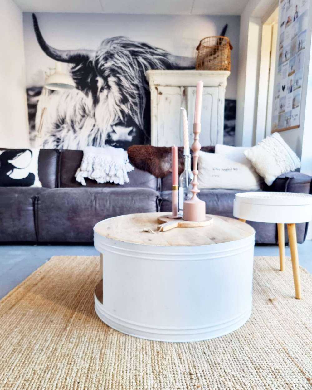 Scottish højlander i sort og hvid