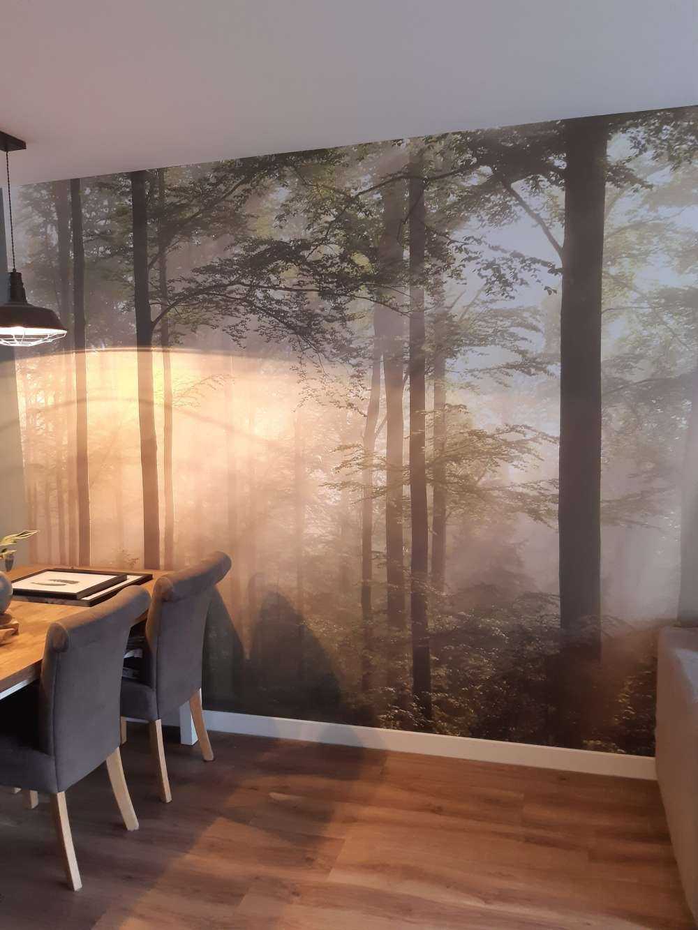 Grøn skov i tågen