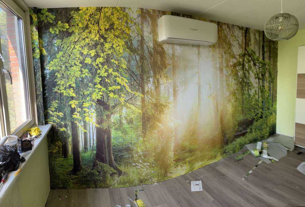 Skoglandskap på soluppgång