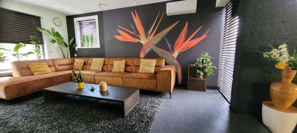 Paradisfuglens blomster