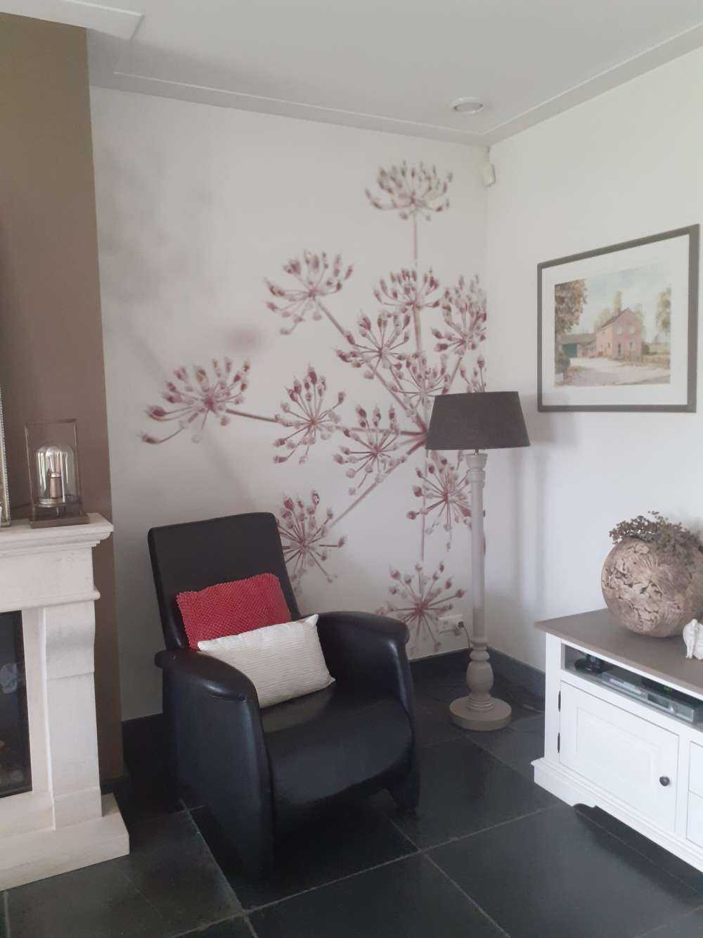 Nærbillede af ko persille