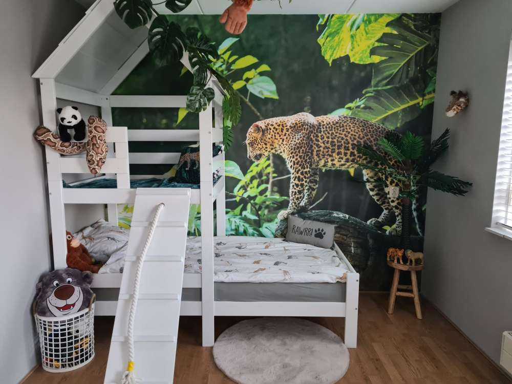 Leopard på en klippe