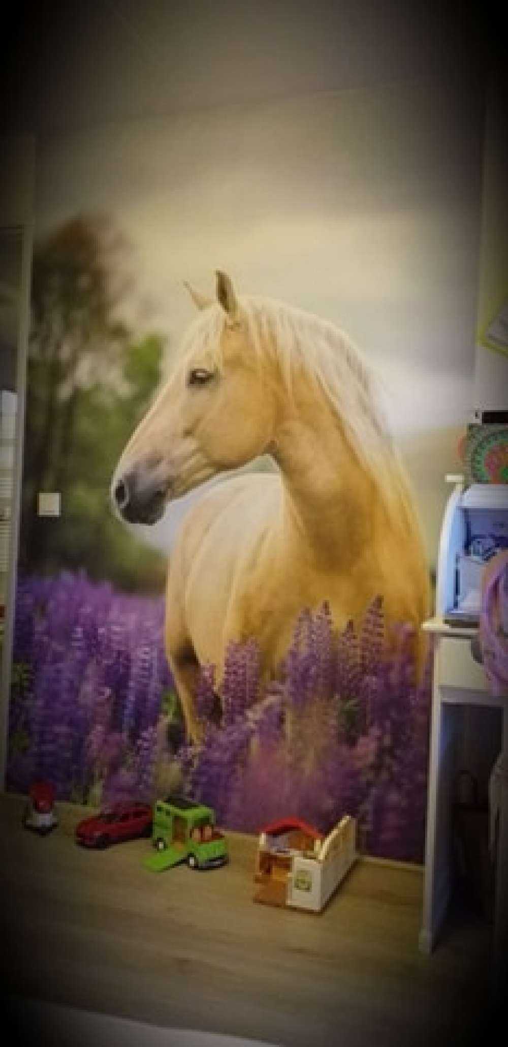 Hest blandt sommerfuglblomsterne