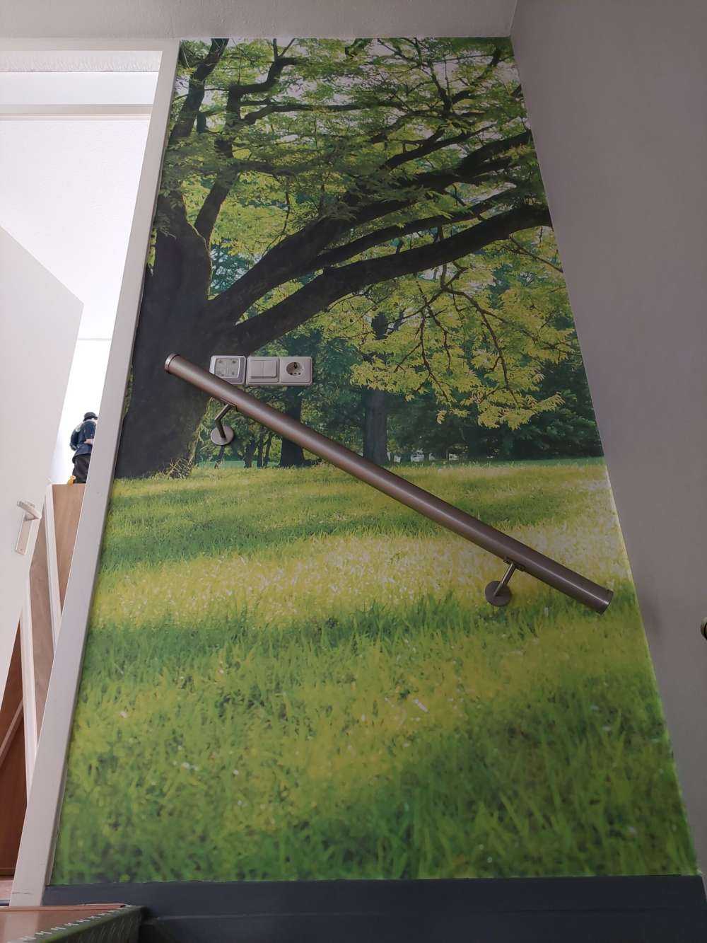 Härligt träd med grönt gräs