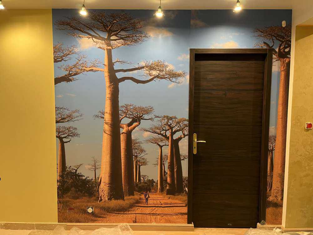 Baobab träd
