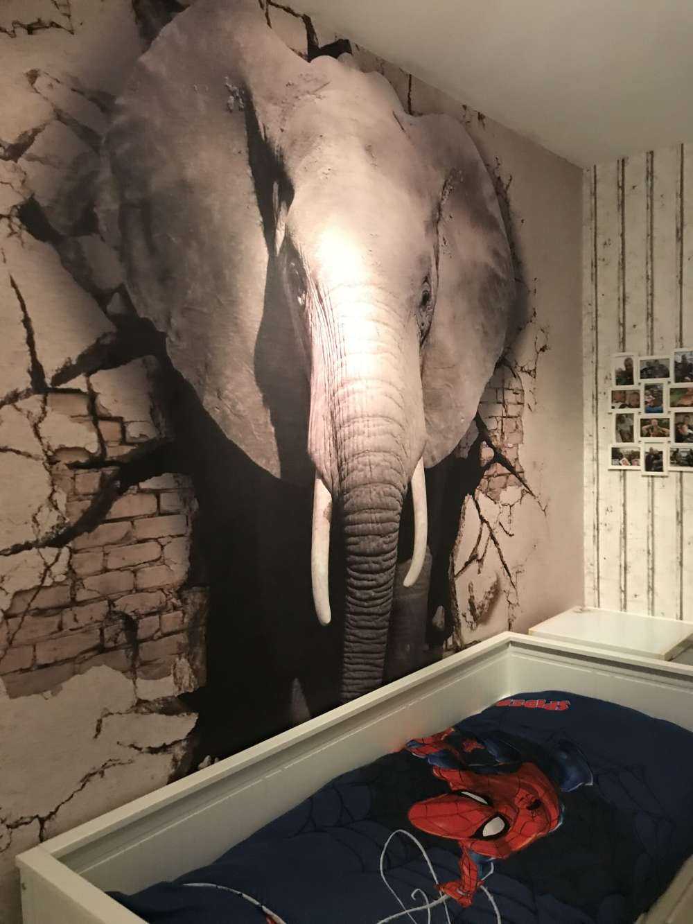 3D elefant fra veggen