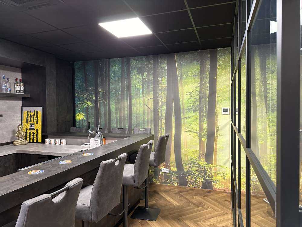 Morgensol blant trærne