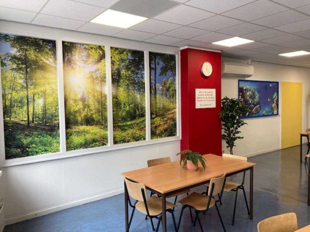 Skog med solstråler