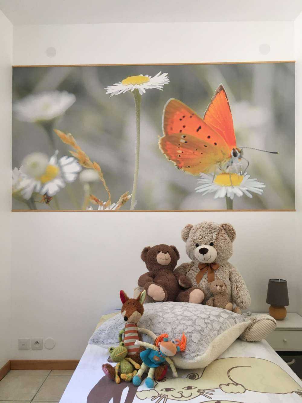 Tusenfryd og oransje sommerfugl