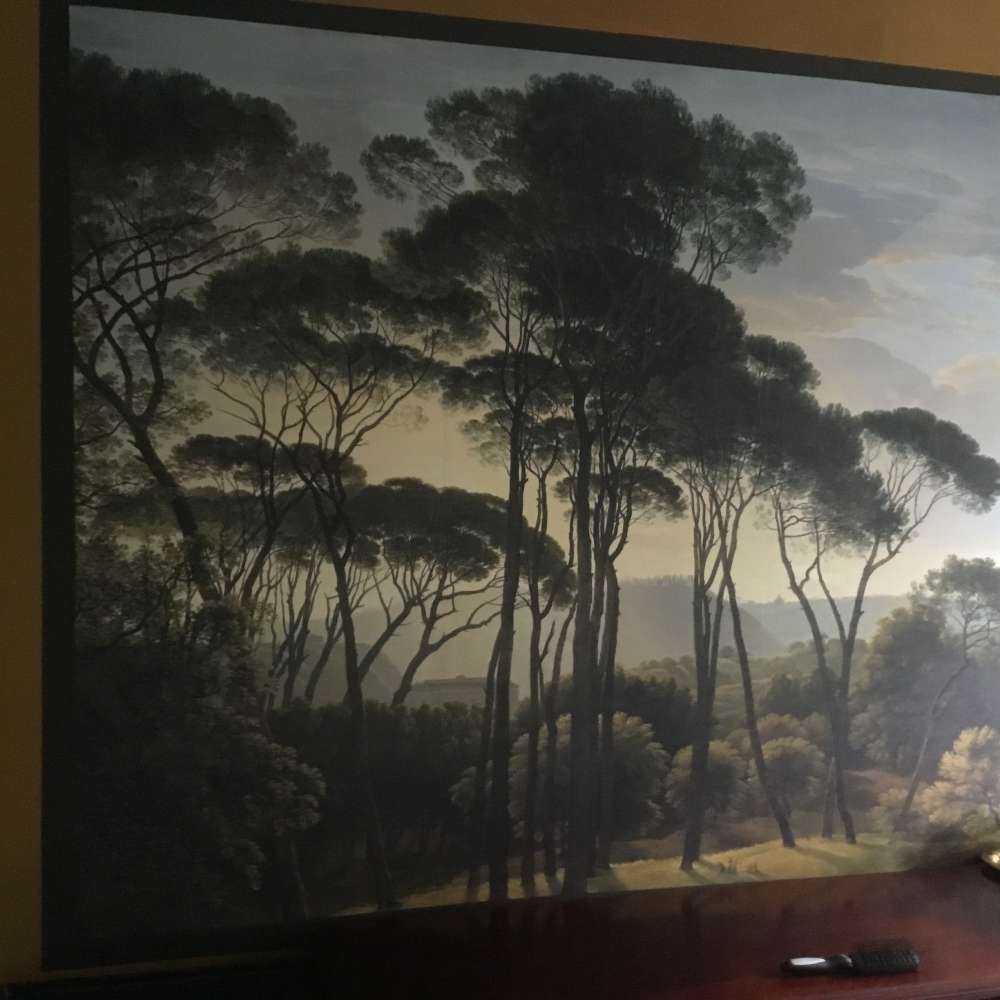 Italiensk landskapp med parasoll furutrær