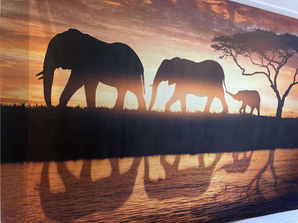 Elefanter i savannen