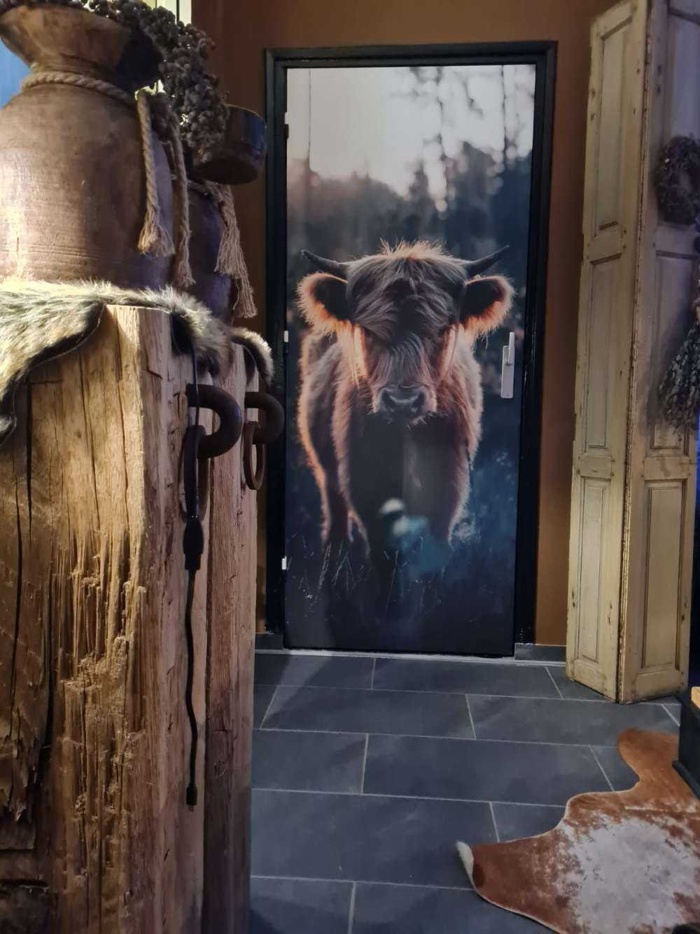 Young Scottish highlander