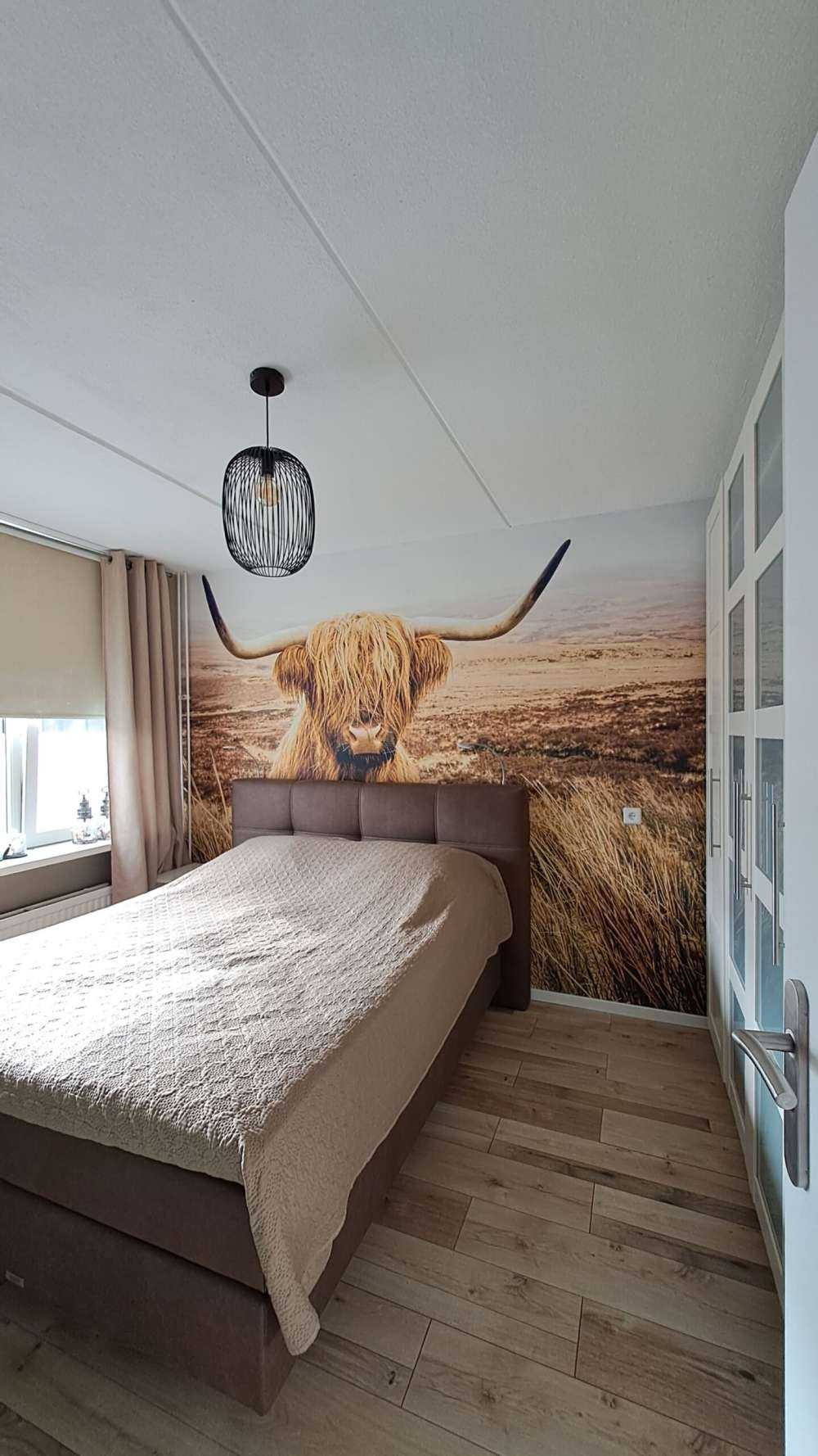 Skotsk hoglandare med vass