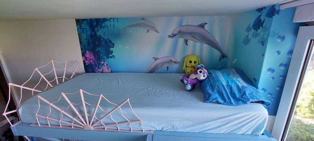 Undervandsverden med delfiner