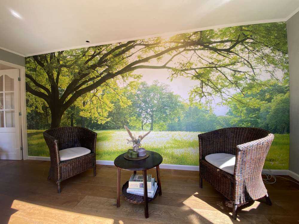 vakret tre med grønt gress