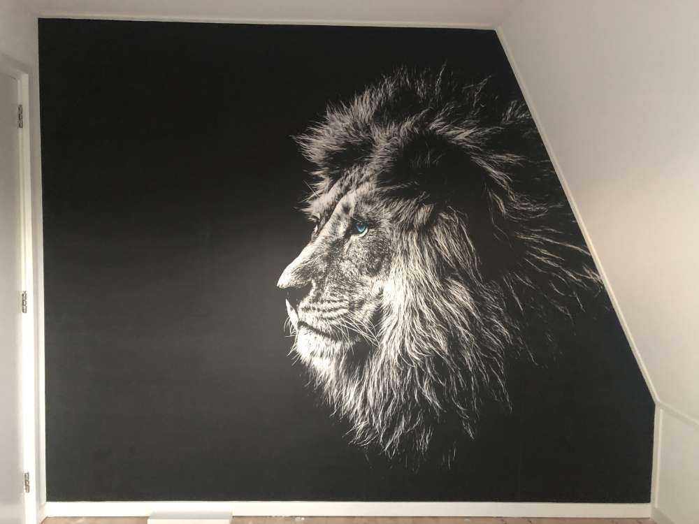 Løve med blå øyne