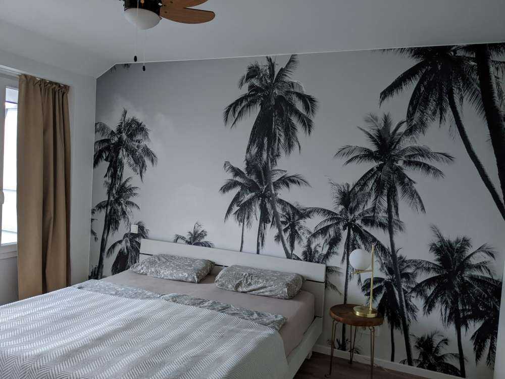 Palmer i svart og hvitt