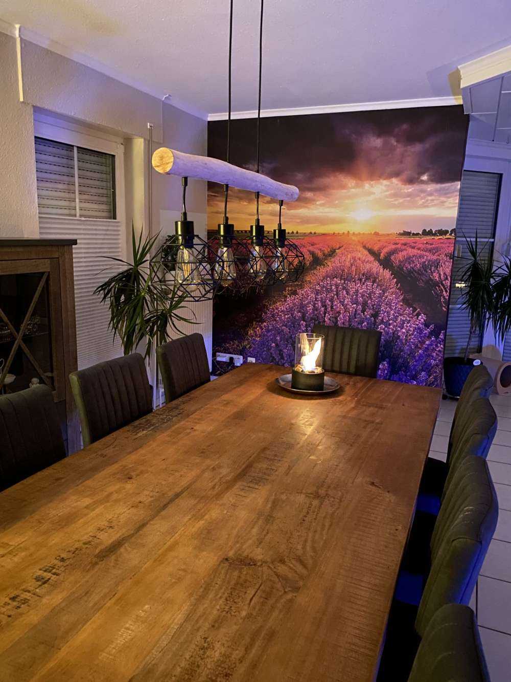 Åker full av lavendel