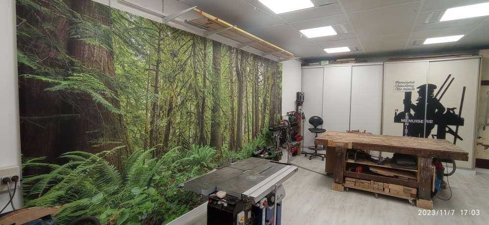 Sti med steiner gjennom skogen