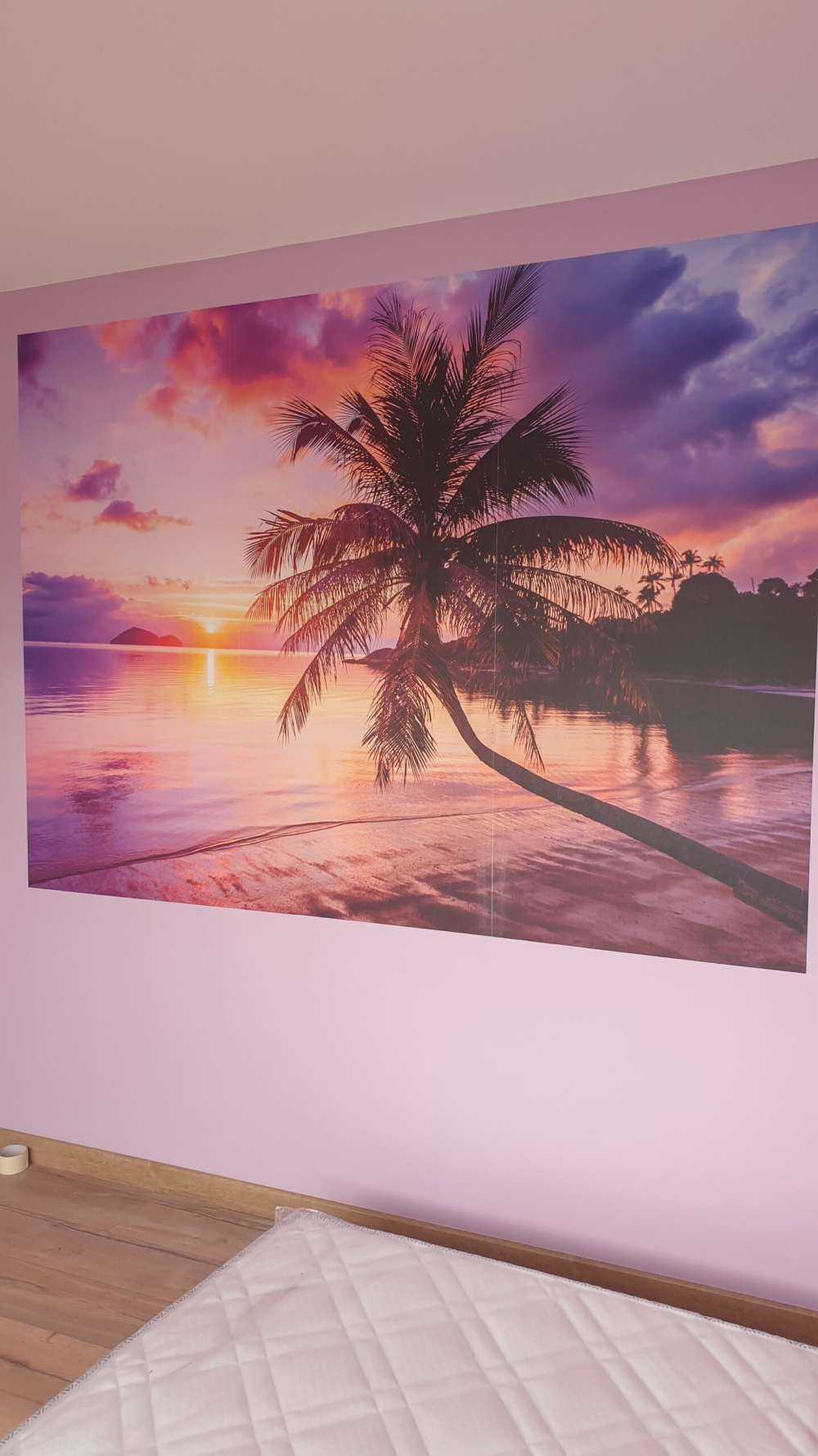 Palmetræ ved solnedgang