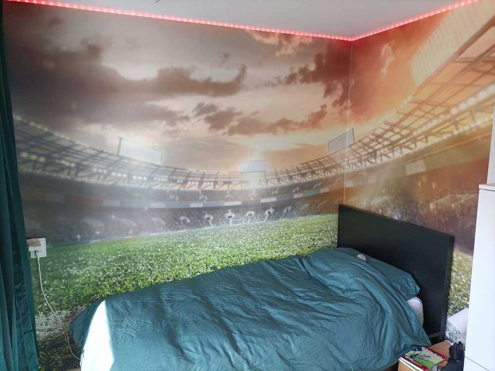Stadion med kunstgræs