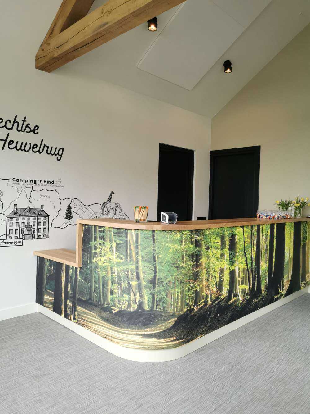 Solig väg till och med en skog