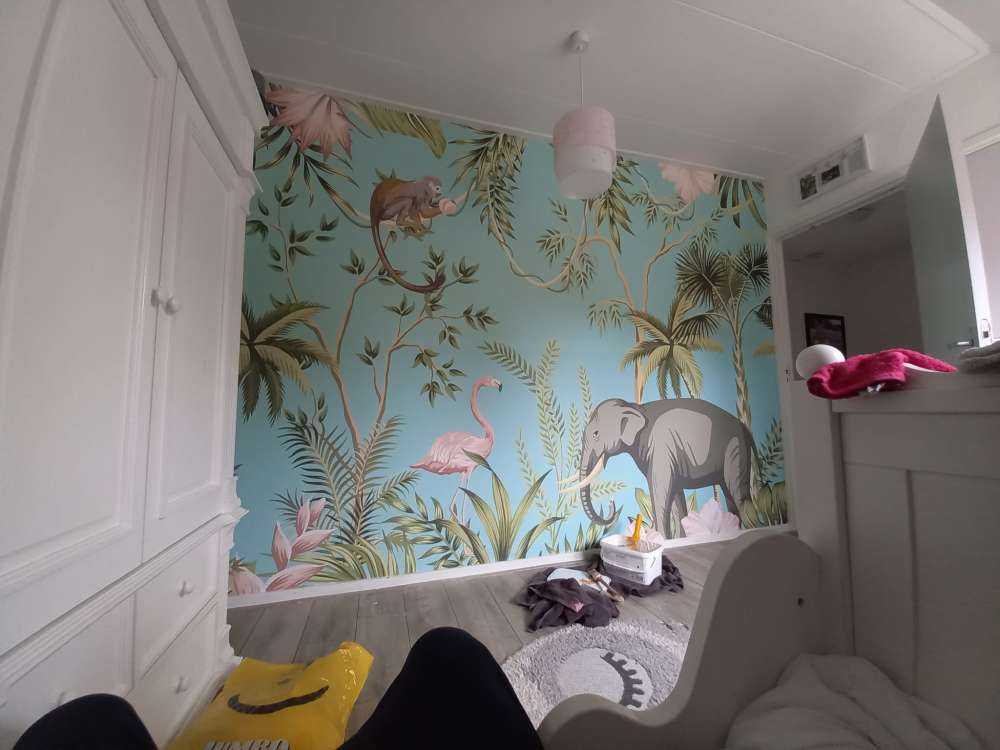 Elefant, flamingo och vänner