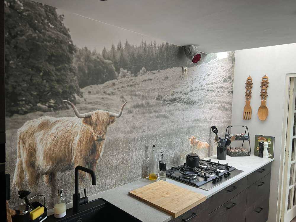 Skotsk highlander med kalv