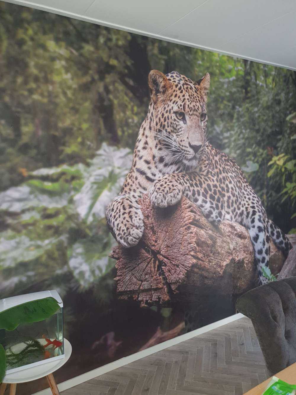 Leopard på träd