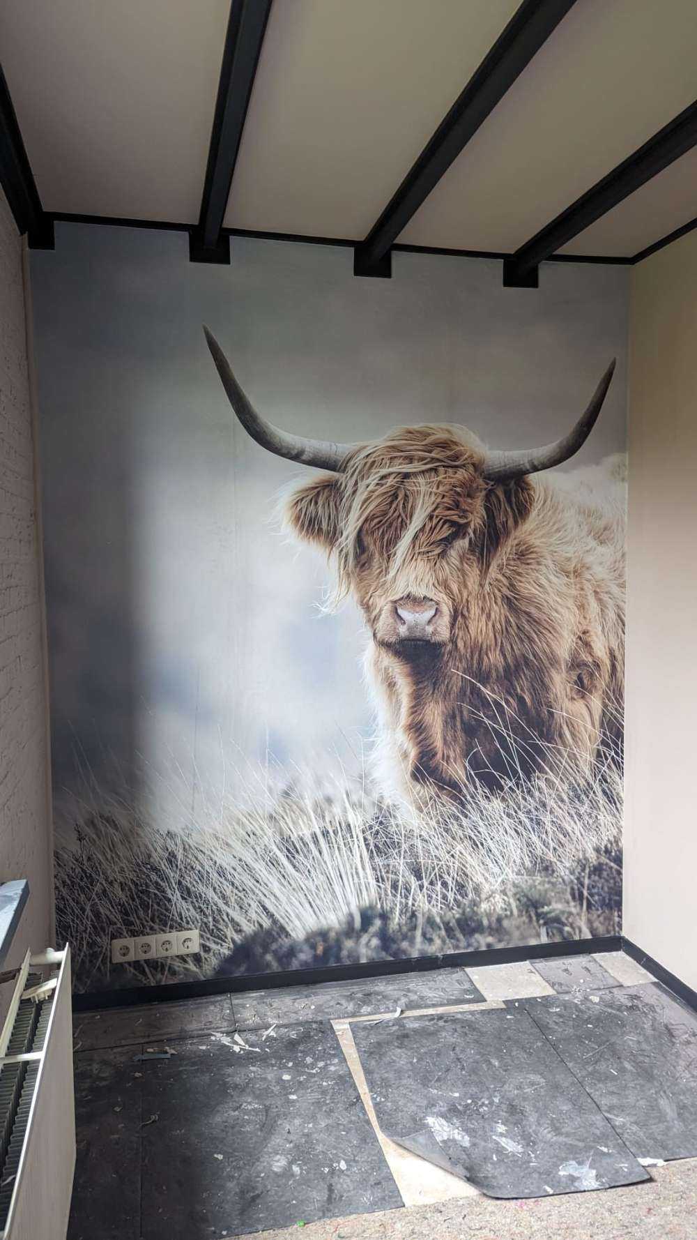 Skotsk hoglandare i naturenn