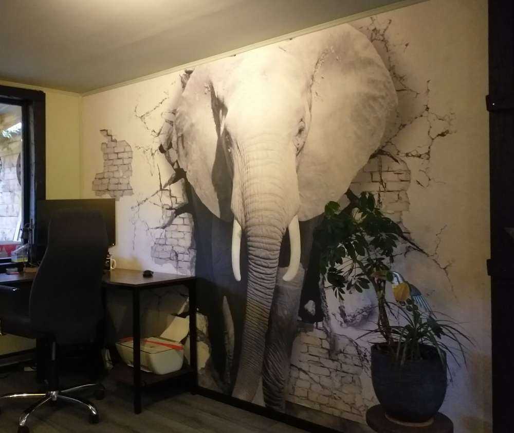 3D elefant fra veggen