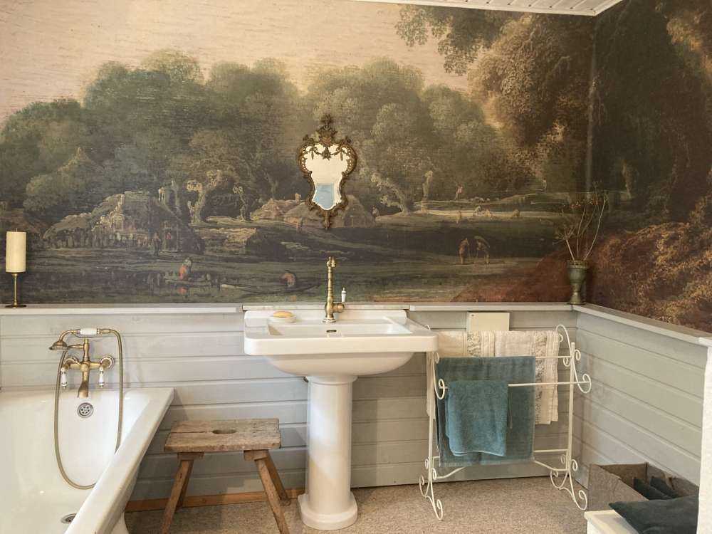 avskoget skoglandskapp